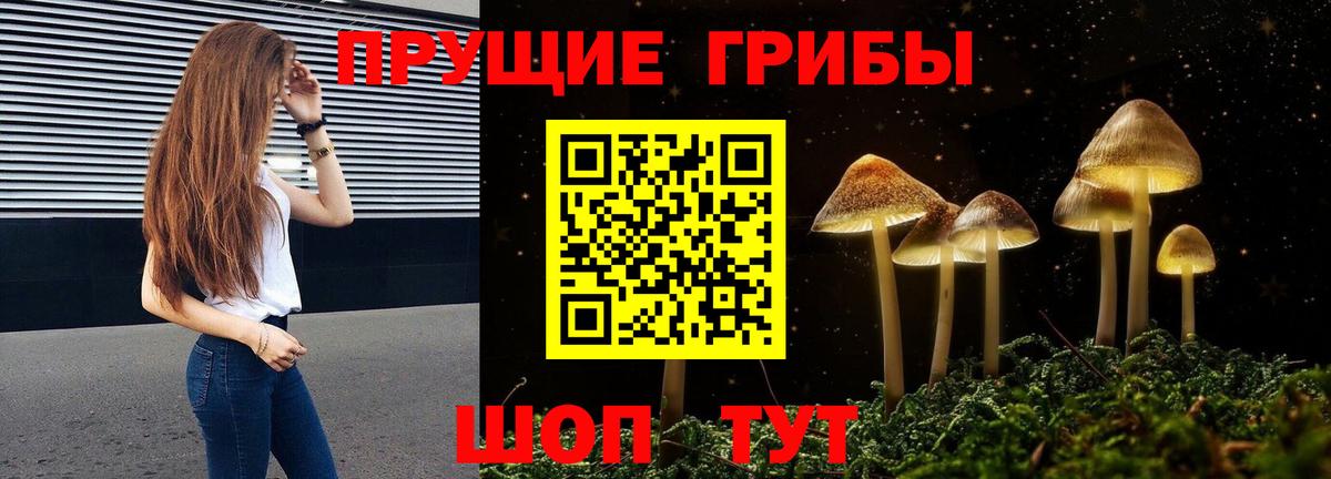 Галлюциногенные грибы Cubensis  Псилоцибиновые грибы Psilocybine cubensis  Благодарный 