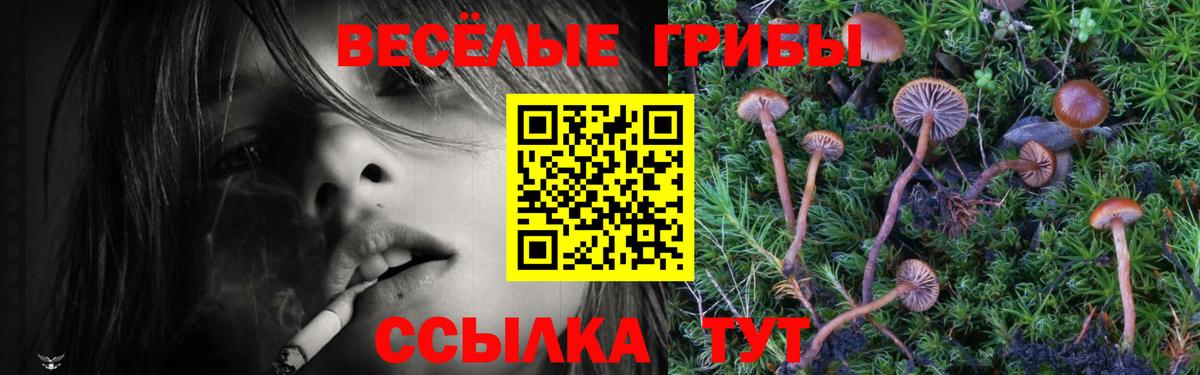 Галлюциногенные грибы Psilocybe Благодарный